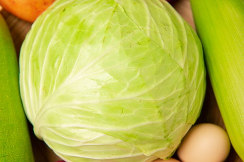 应季蔬菜食材食品蔬菜摄影图 果蔬图片素材